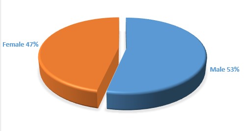 Gender Ratio of the Audience (in percentage)