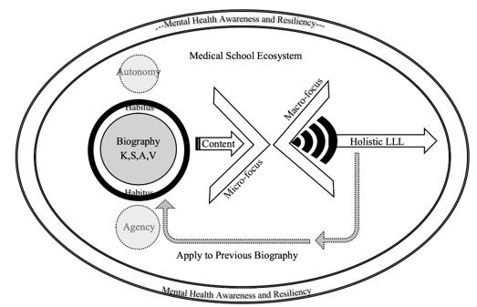 (Source: Author) Micro-focus; Macro focus Balance of Lifelong Learning for MS