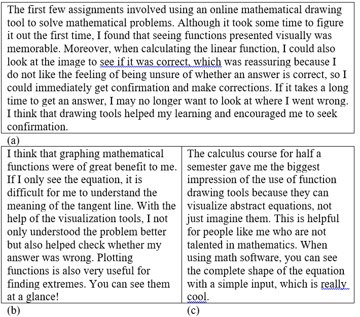 Three examples of students’ feedback on the use of mathematical software in Teaching Stage
       II