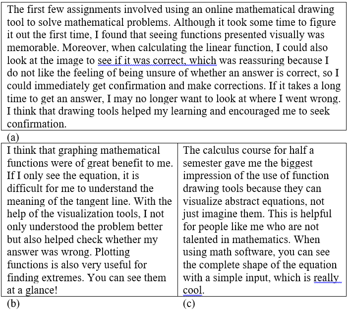 Three examples of students’ feedback on the use of mathematical software in Teaching Stage
       II