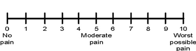 Visual analogue Scale (Chapman & Kirby-Turner, 2002)