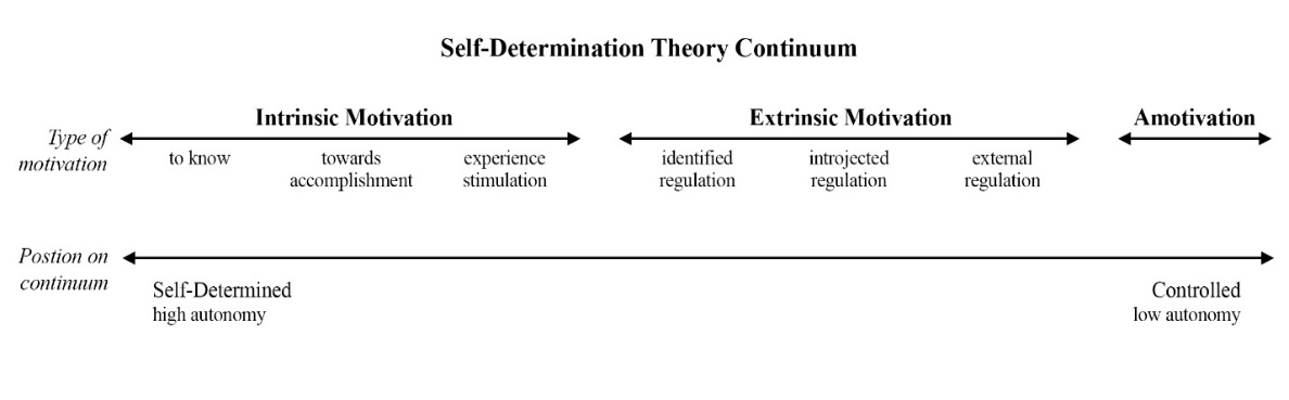 Self-Determination Theory Continuum