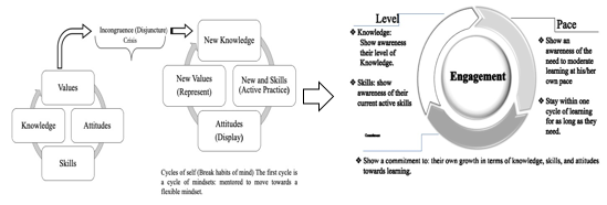 Teacher conceptualization of the IIAF classroom environment and curriculum planning.